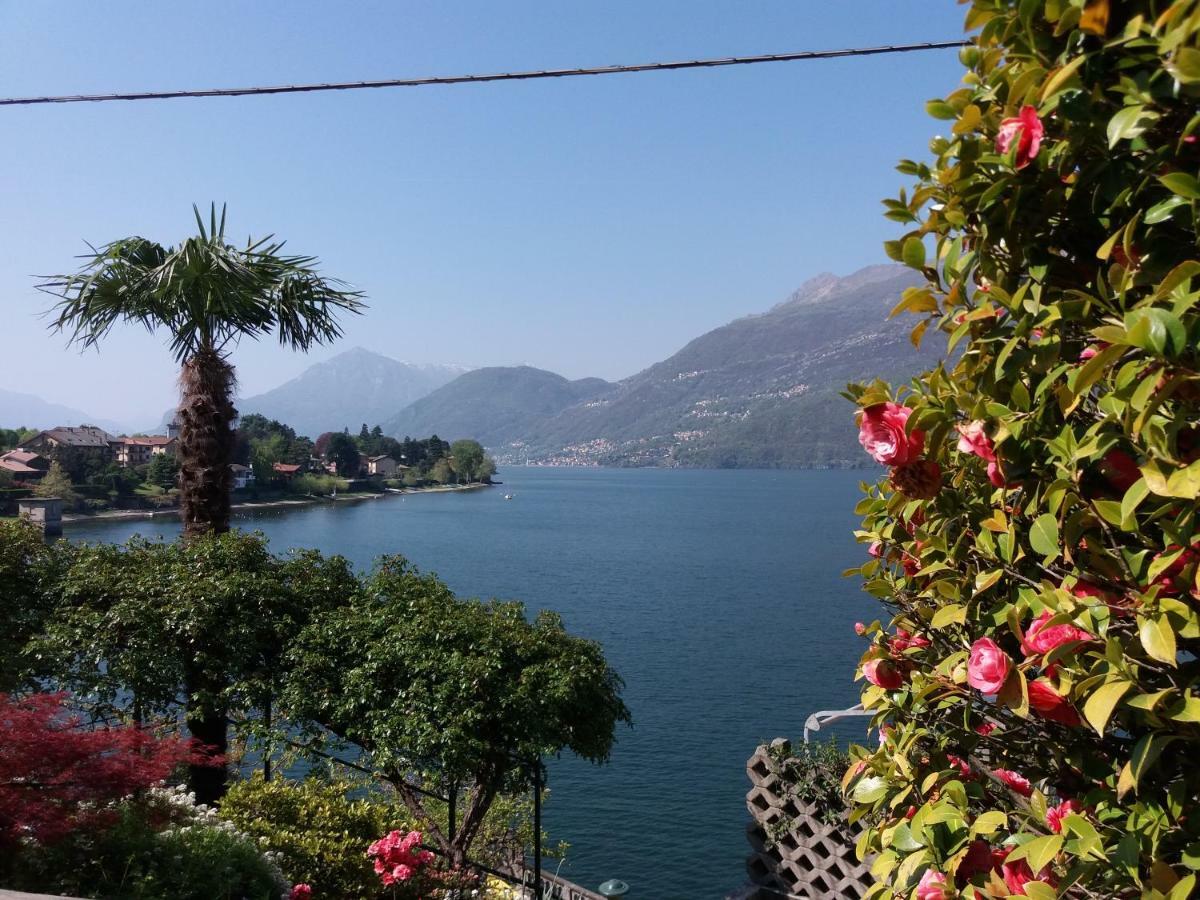Villa Plinio Lago Di Como Dervio Eksteriør billede