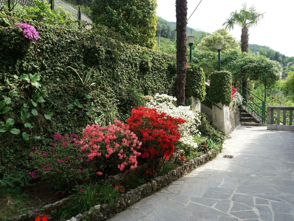 Villa Plinio Lago Di Como Dervio Eksteriør billede